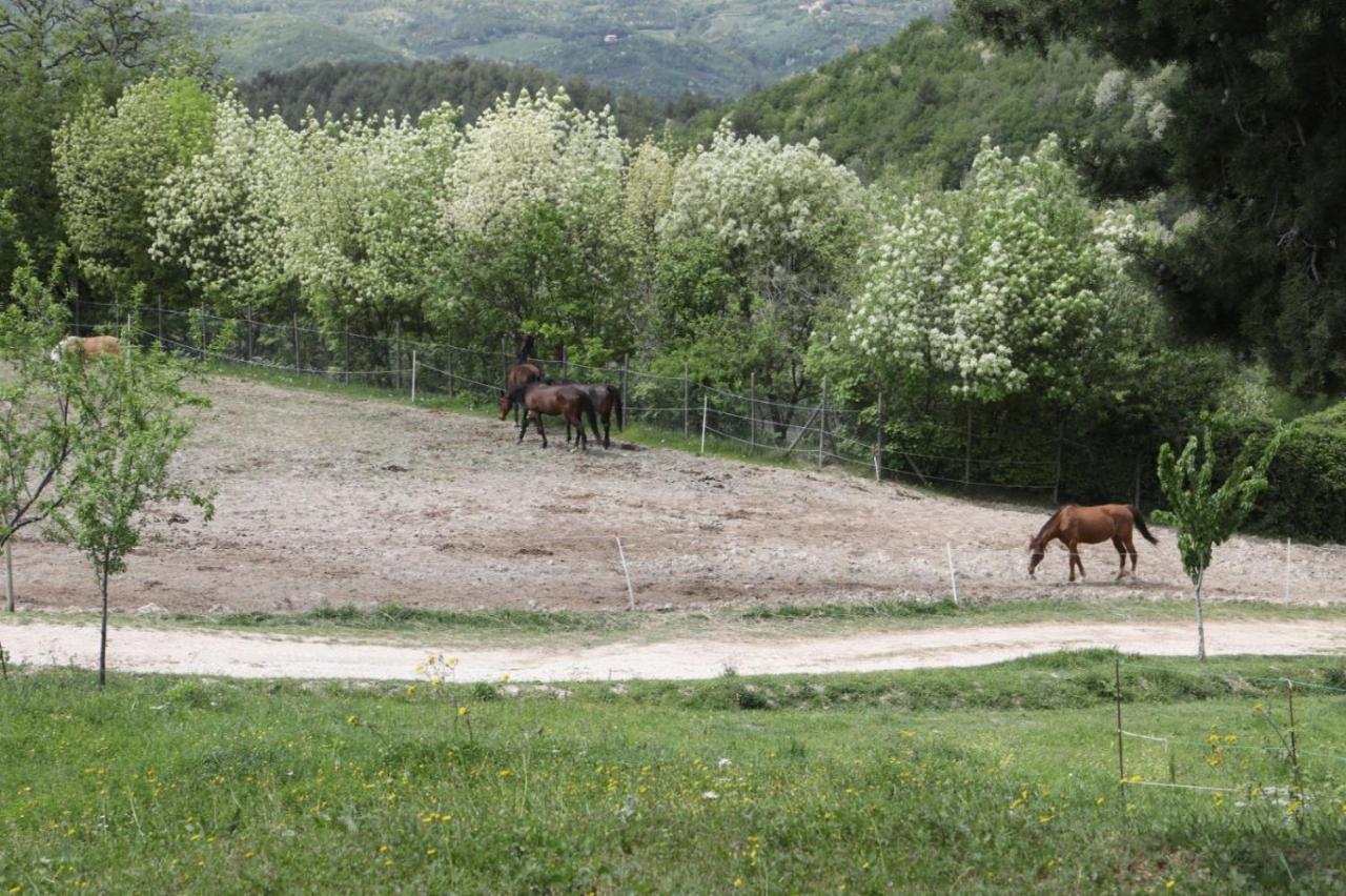 Agriturismo San Martino Foligno Exterior foto